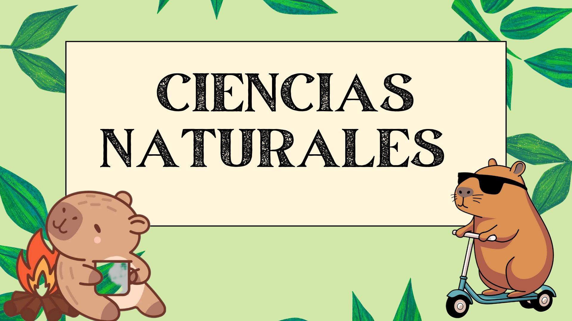 CIENCIAS NATURALES - 5B